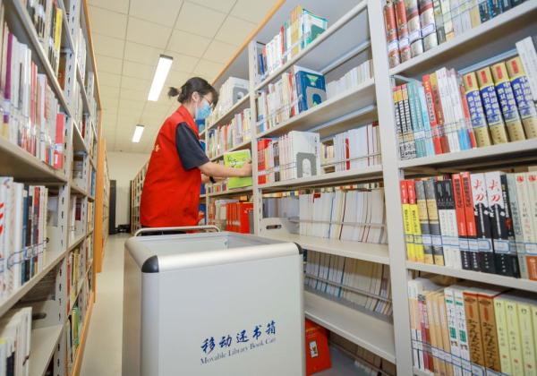 河北大厂 小小图书管理员志愿服务度暑假